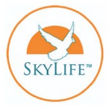 skylife travel and tourism llc